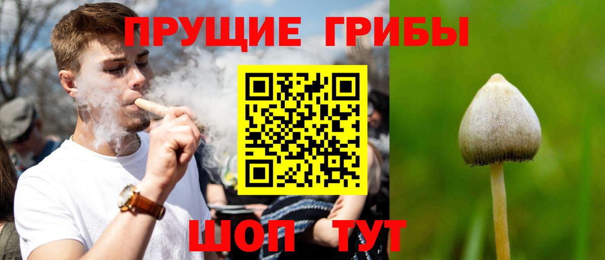 Псилоцибиновые грибы Magic Shrooms  Вход с VPN  Псилоцибиновые грибы Psilocybine cubensis  Заволжье 