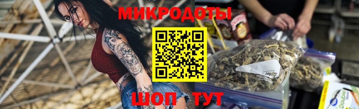 Галлюциногенные грибы Psilocybe Заволжье
